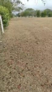 Lote Super Amplio Flandes,Tolima 4