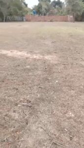 Lote Super Amplio Flandes,Tolima 3